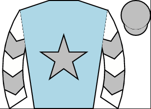 Horse silk