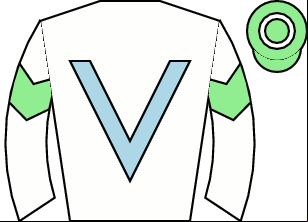 Horse silk