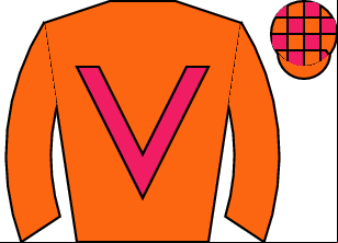 Horse silk