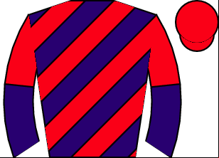 Horse silk