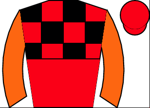 Horse silk