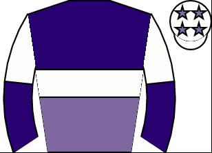 Horse silk