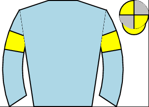 Horse silk