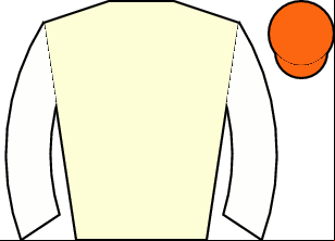 Horse silk