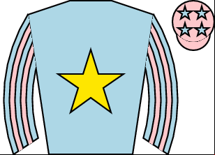 Horse silk