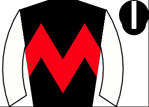 Horse silk