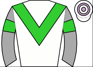 Horse silk
