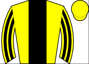 Horse silk