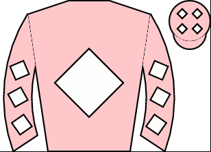 Horse silk
