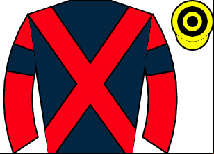 Horse silk