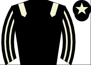 Horse silk