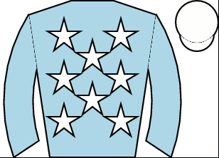 Horse silk