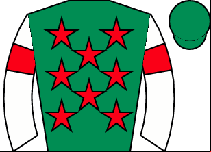 Horse silk