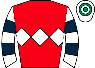 Horse silk