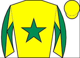 Horse silk