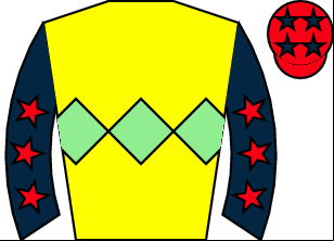 Horse silk