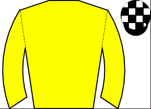Horse silk