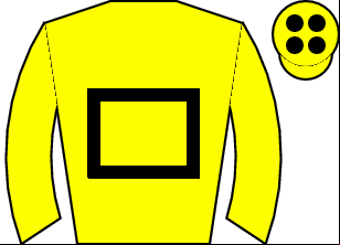 Horse silk