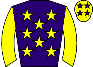 Horse silk