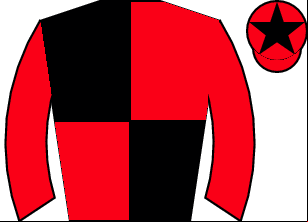 Horse silk