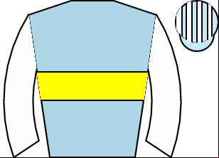 Horse silk