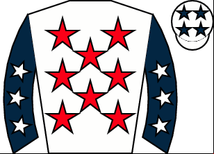Horse silk