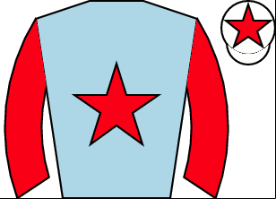 Horse silk