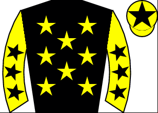 Horse silk