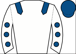 Horse silk